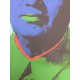 Andy Warhol Litografia cm 57x38 Leo Castelli  - GEORGES ISTRAEL EDITEUR