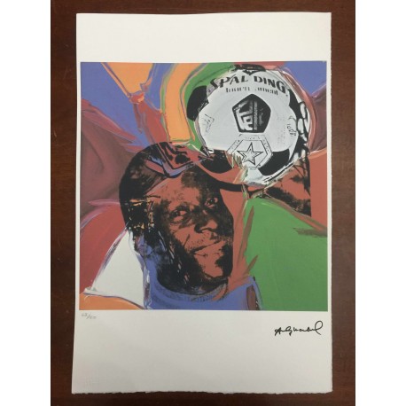 Andy Warhol Litografia cm 57x38 Leo Castelli  - GEORGES ISTRAEL EDITEUR