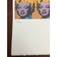 Andy Warhol Litografia cm 57x38 Leo Castelli  - GEORGES ISTRAEL EDITEUR