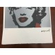 Andy Warhol Litografia cm 57x38 Leo Castelli  - GEORGES ISTRAEL EDITEUR