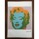 Andy Warhol Litografia cm 57x38 Leo Castelli  - GEORGES ISTRAEL EDITEUR