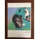 Andy Warhol Litografia cm 57x38 Leo Castelli  - GEORGES ISTRAEL EDITEUR