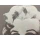 Andy Warhol Litografia cm 57x38 Leo Castelli  - GEORGES ISTRAEL EDITEUR