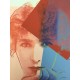 Andy Warhol Litografia cm 57x38 Leo Castelli  - GEORGES ISTRAEL EDITEUR