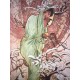 Alfons Mucha 50x70 cm