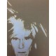 Andy Warhol Litografia cm 57x38 Leo Castelli  - GEORGES ISTRAEL EDITEUR