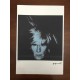 Andy Warhol Litografia cm 57x38 Leo Castelli  - GEORGES ISTRAEL EDITEUR