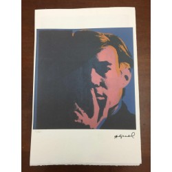 Andy Warhol Litografia cm 57x38 Leo Castelli  - GEORGES ISTRAEL EDITEUR