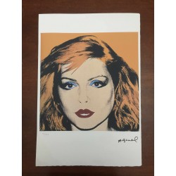 Andy Warhol Litografia cm 57x38 Leo Castelli  - GEORGES ISTRAEL EDITEUR