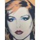 Andy Warhol Litografia cm 57x38 Leo Castelli  - GEORGES ISTRAEL EDITEUR