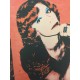 Andy Warhol Litografia cm 57x38 Leo Castelli  - GEORGES ISTRAEL EDITEUR