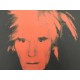 Andy Warhol Litografia cm 57x38 Leo Castelli  - GEORGES ISTRAEL EDITEUR