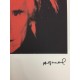 Andy Warhol Litografia cm 57x38 Leo Castelli  - GEORGES ISTRAEL EDITEUR