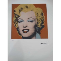 Andy Warhol Litografia cm 57x38 Leo Castelli  - GEORGES ISTRAEL EDITEUR