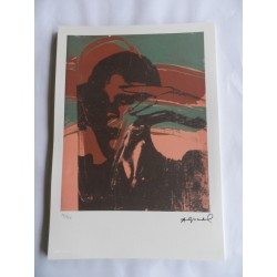 Andy Warhol Lithograph ex. 125 cm 35x50