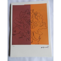 Andy Warhol Litografie ex. 125 cm 35x50