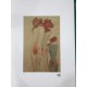 Egon Schiele Litografia cm 50x70 con autentica - ediz. SPADEM - timbro artista