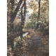 Egon Schiele Litografia cm 50x70 con autentica - ediz. SPADEM - timbro artista
