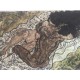 Egon Schiele Litografia cm 50x70 con autentica - ediz. SPADEM - timbro artista