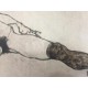 Egon Schiele Litografia cm 50x70 con autentica - ediz. SPADEM - timbro artista