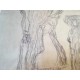 Gustav Klimt litografia 50x70 cm ediz. TREC con certificato