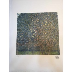 Gustav Klimt litografia 50x70 cm ediz. TREC con certificato