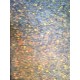 Gustav Klimt litografia 50x70 cm ediz. TREC con certificato