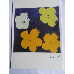 Andy Warhol Lithograph ex. 125 cm 35x50