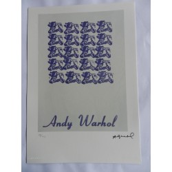 Andy Warhol Litografía ex. 125 cm 35x50