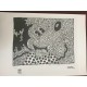 Keith Haring  Litografia 50x70 cm  con certificato