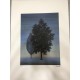 Rene Magritte Litografia 50x70 cm SPADEM - AROARTE Certificato