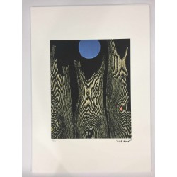 Max Ernst litografia 50x70 cm firma in lastra edizione Spadem