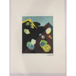 Max Ernst litografia 50x70 cm firma in lastra edizione Spadem