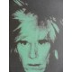 Andy Warhol Litografia ex. 125 cm 35x50