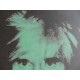 Andy Warhol Litografia ex. 125 cm 35x50