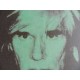 Andy Warhol Litografia ex. 125 cm 35x50