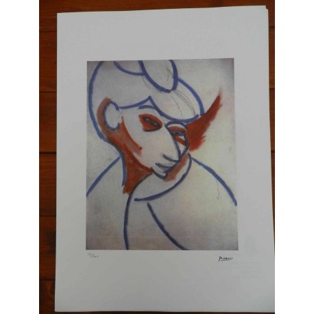 Picasso Litografia 50x70 cm edizione Foundation Museo