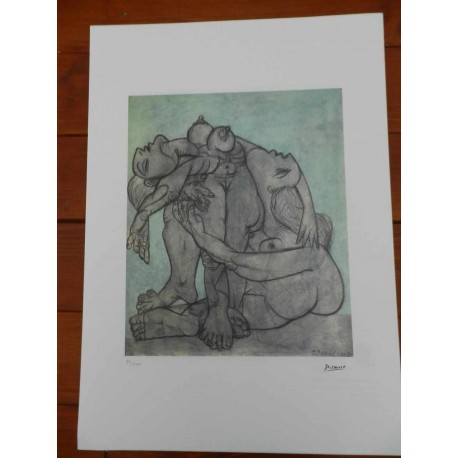 Picasso Litografia 50x70 cm edizione Foundation Museo