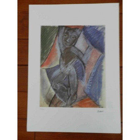 Picasso Litografia 50x70 cm edizione Foundation Museo