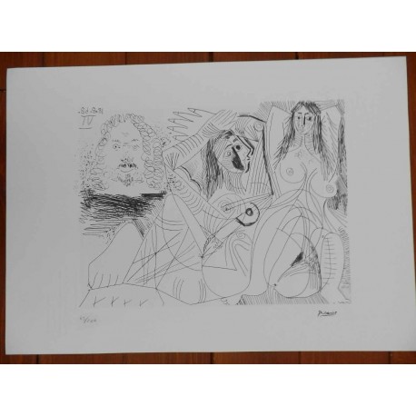 Picasso Litografia 50x70 cm edizione Foundation Museo