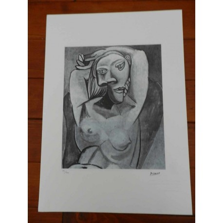 Picasso Litografia 50x70 cm edizione Foundation Museo