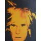 Andy Warhol Lithographie ex. 125 cm 35 x 50