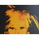 Andy Warhol Lithographie ex. 125 cm 35 x 50