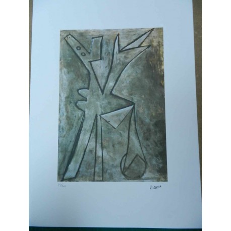 Picasso Litografia 50x70 cm edizione Foundation Museo