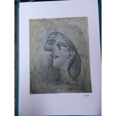 Picasso Litografia 50x70 cm edizione Foundation Museo