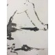 Picasso Pablo serie Buffon con certificato notarile cm 35x50 edizione TREC