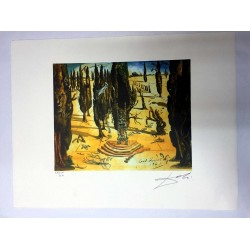 Salvador Dali cm 50x65 carta BFK RIVES firmato a matita timbro artista