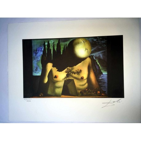 Salvador Dali cm 50x65 carta BFK RIVES firmato a matita timbro artista