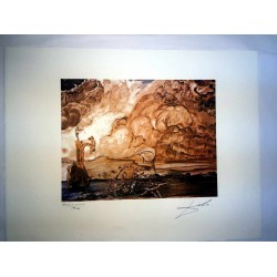 Salvador Dali cm 50x65 carta BFK RIVES firmato a matita timbro artista