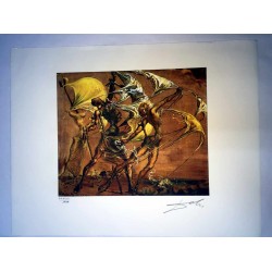 Salvador Dali cm 50x65 carta BFK RIVES firmato a matita timbro artista